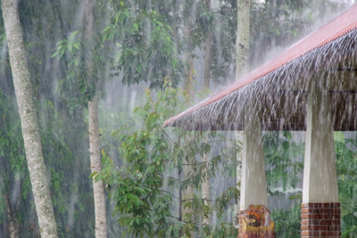 Heavy Rain