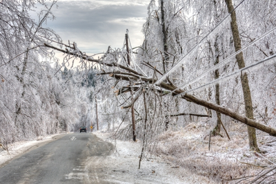 Winter Storm