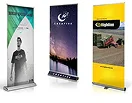 Business Promotion & Brand Activation