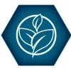 Sustainability and Custom Outdoor Displays